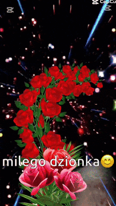 a woman is holding a bouquet of red roses in front of a black background .
