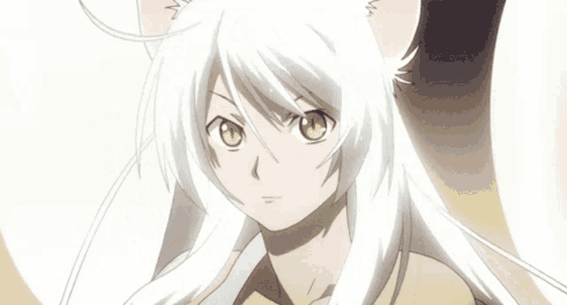 a girl with white hair and cat ears looks at the camera