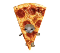 Can We Get Pizza GIF - Can We Get Pizza GIFs