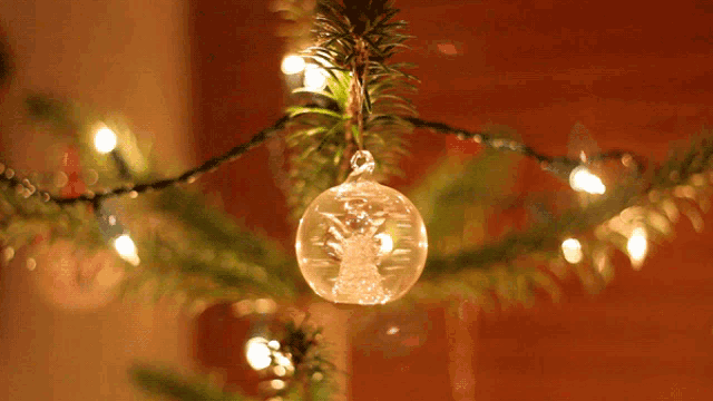 a christmas ornament with an angel on it hangs from a christmas tree