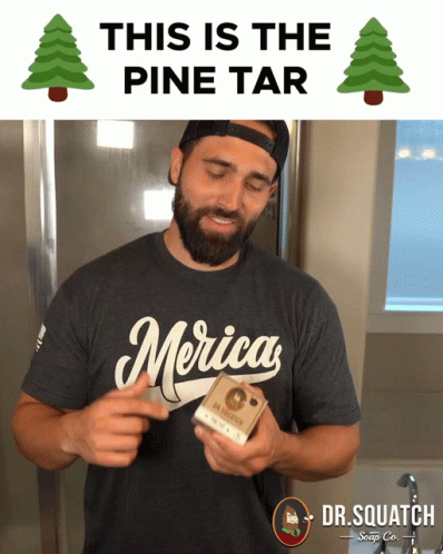 This Is The Pine Tar This Is Pine Tar GIF
