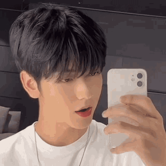 a young man is taking a picture of himself in the mirror with his phone .