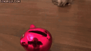 a mouse sitting on top of a red piggy bank