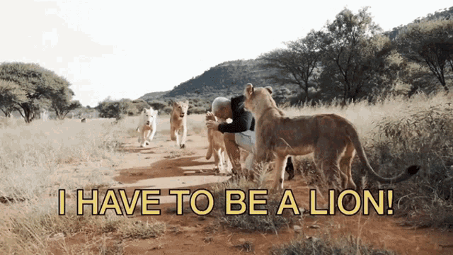 I Have To Be A Lion Dean Schneider GIF - I Have To Be A Lion Dean Schneider Part Of The Lion Pride GIFs
