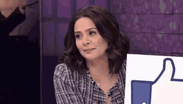 a woman in a plaid shirt is sitting in front of a facebook like sign .