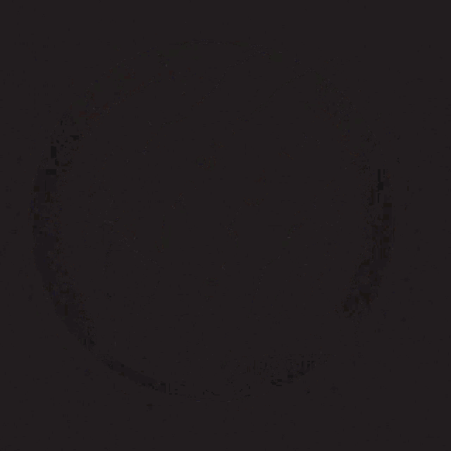 a logo that says hit tiger with a bear