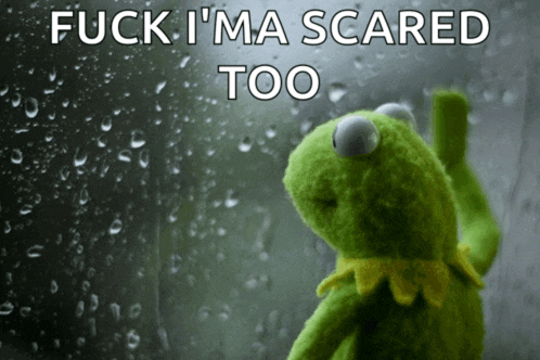 kermit the frog is looking out a window with the words " fuck i 'm scared too "