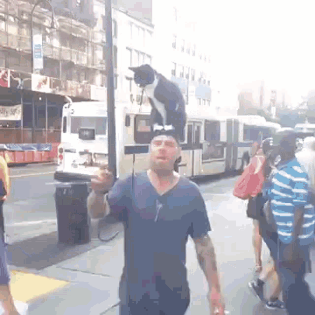a man walking with a cat on his shoulders
