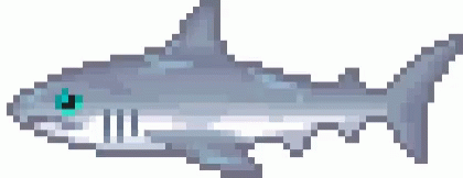 Fish Shark GIF - Fish Shark GIFs