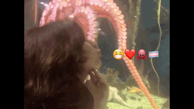 a woman looks at an octopus in an aquarium with emojis on her face