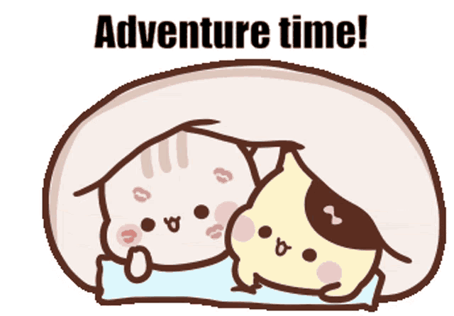 a cartoon of two cats sleeping under a blanket with the words adventure time written above them
