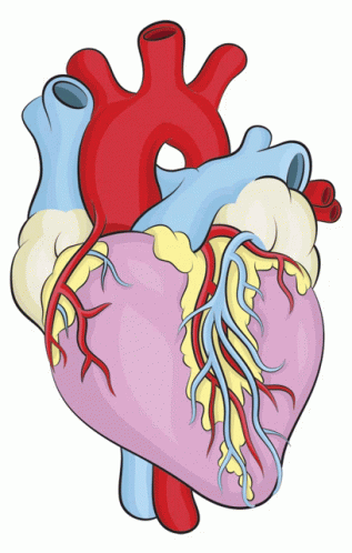 Heart Pumped GIF - Heart Pumped GIFs