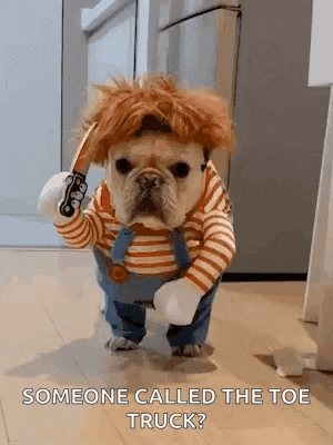 a french bulldog dressed in a costume is holding a knife .