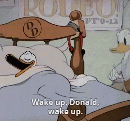 Sleepy Donald Duck GIF - Sleepy Donald Duck Wake Up GIFs