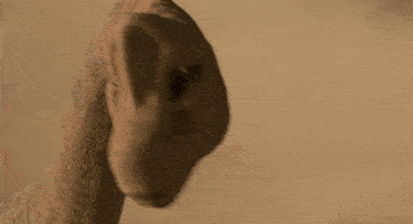 a close up of a dinosaur 's face with a long neck