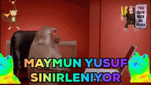 Maymun Yusuf Maymun GIF - Maymun Yusuf Maymun Monkey GIFs