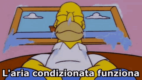 a cartoon of homer simpson crying with the words l' aria condizionata functiona written below him