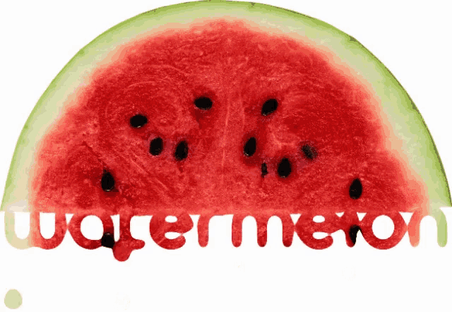 Watermelon Engfto GIF - Watermelon Engfto Texting GIFs