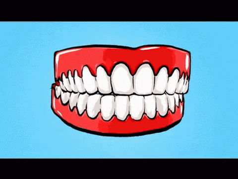 Dentist Teeth GIF - Dentist Teeth GIFs