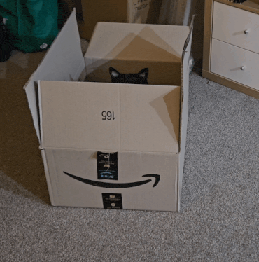 a cat peeking out of a cardboard box that says 165
