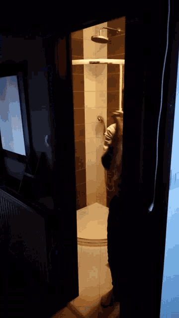 a person standing in a dark room with a mirror
