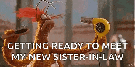 a stuffed animal is holding a hair dryer and saying `` getting ready to meet my new sister-in-law ''