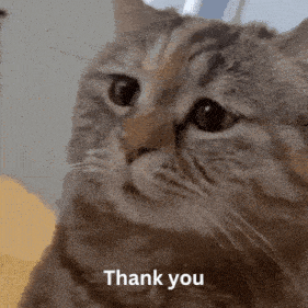 Thank You Thank You Cat GIF - Thank You Thank You Cat Sad Cat GIFs