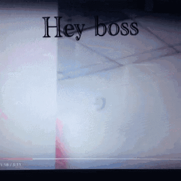 a computer screen displays a video titled hey boss