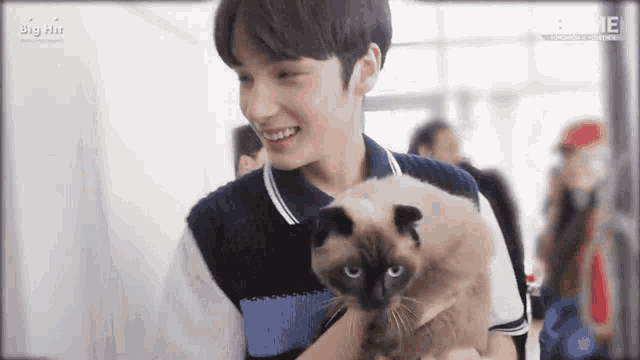 a young boy is holding a cat in his arms .