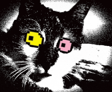 a black and white drawing of a cat with yellow and pink squares in its eyes