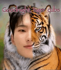 a picture of a man with half of his face turned into a tiger .