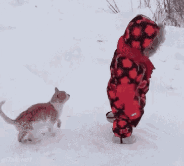 a child in a red and black outfit is playing with a cat in the snow .