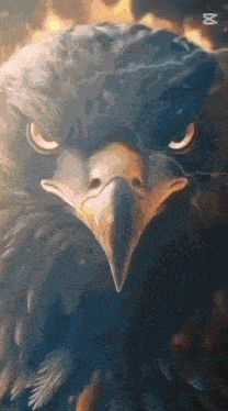 a close up of an eagle 's face with fire in the background