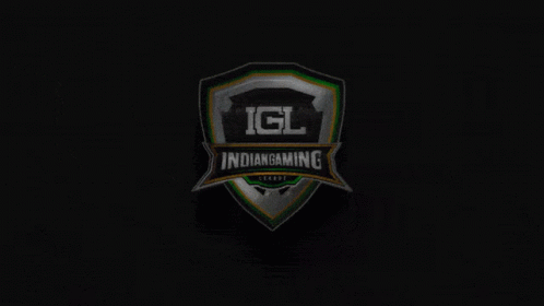 Igl Indian Gaming League GIF - Igl Indian Gaming League GIFs