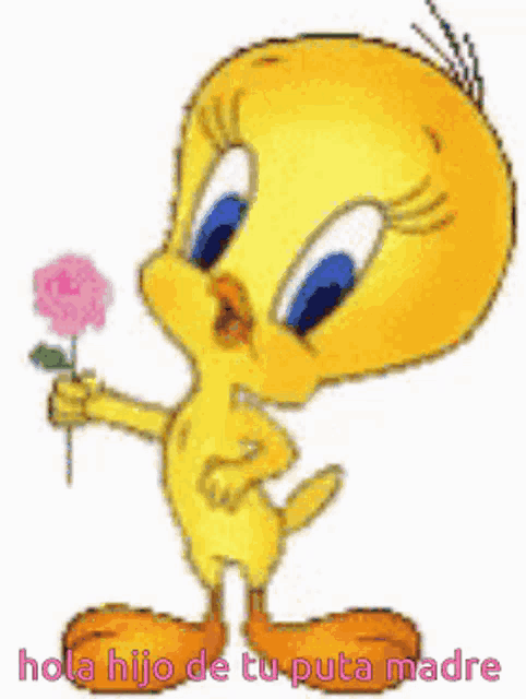 a tweety bird holding a flower with the words hola hijo de tu puta madre written below it
