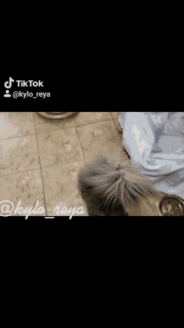 a gray cat with a long tail is standing on a tiled floor next to a white refrigerator