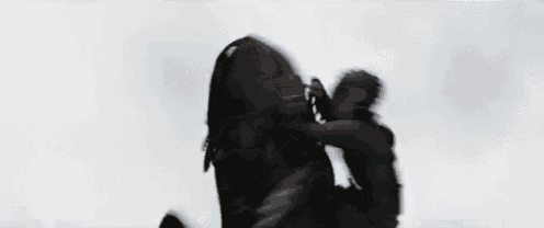a close up of a person riding a black horse with a blurred background .