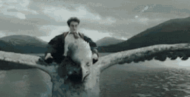 a man is riding on the back of a griffin flying over a body of water .