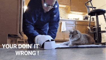 a man playing with a cat in a kitchen with the words your doin ' it wrong