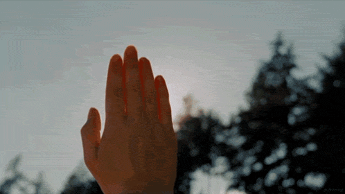 a person 's hand is reaching up towards the sun with trees in the background