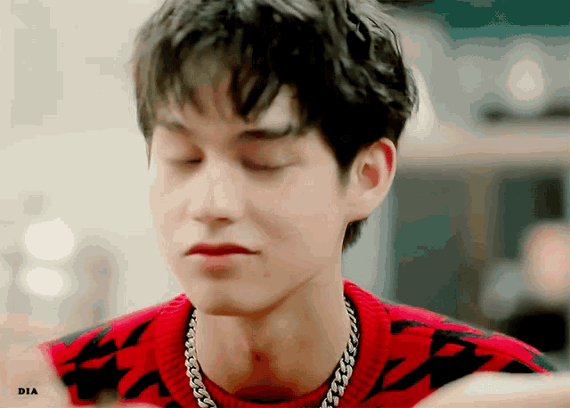 a close up of a young man wearing a red and black sweater and a silver chain around his neck