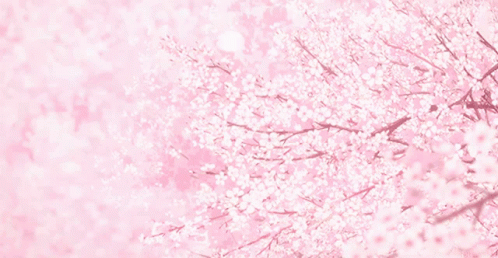 Pink Pink Flowers GIF - Pink Pink Flowers GIFs