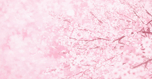 a cherry blossom tree with lots of pink flowers on a pink background