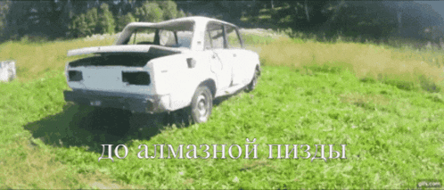 a white car is parked in a grassy field with the words " до алмазной пизды " above it