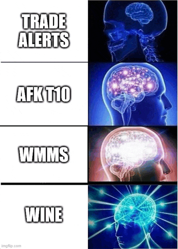 a picture of a brain with the words trade alerts afk t10 wmms wine written on it