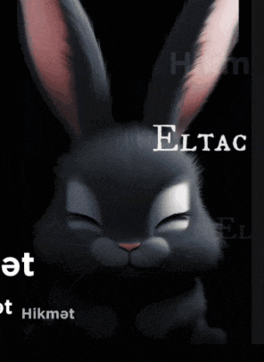a black rabbit with pink ears is surrounded by the words eltac and hikmat