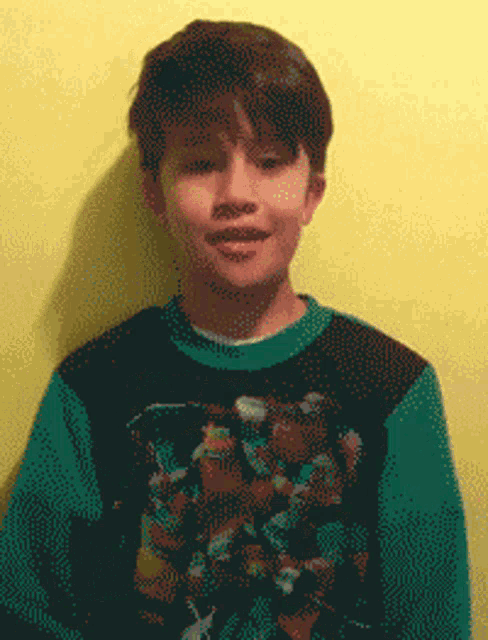 a pixelated image of a boy wearing a teenage mutant ninja turtles sweater