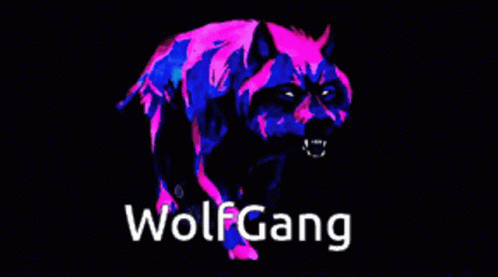 This One I Use For My Discord Server Icon Wolf Gang GIF - This One I Use For My Discord Server Icon Wolf Gang Wolf GIFs