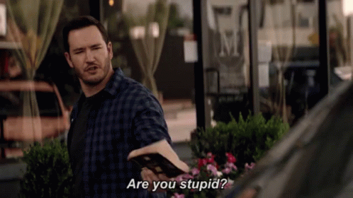 Are You Stupid? GIF - Fed Up Mad Stupid GIFs