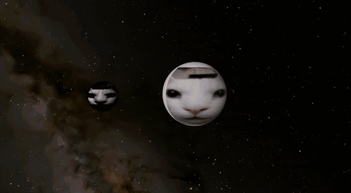 Uncannycat Spacesim GIF - Uncannycat Cannycat Spacesim GIFs